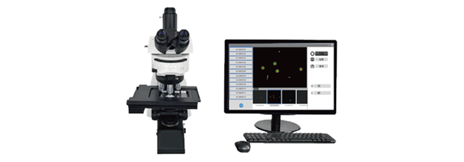 ȫ�Զ�����ʶ��ϵͳ