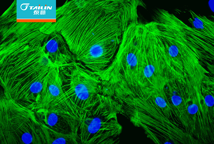 ÈËÉú¾ÍÊDz©¡¤(ÖйúÇø)¹Ù·½ÍøÕ¾