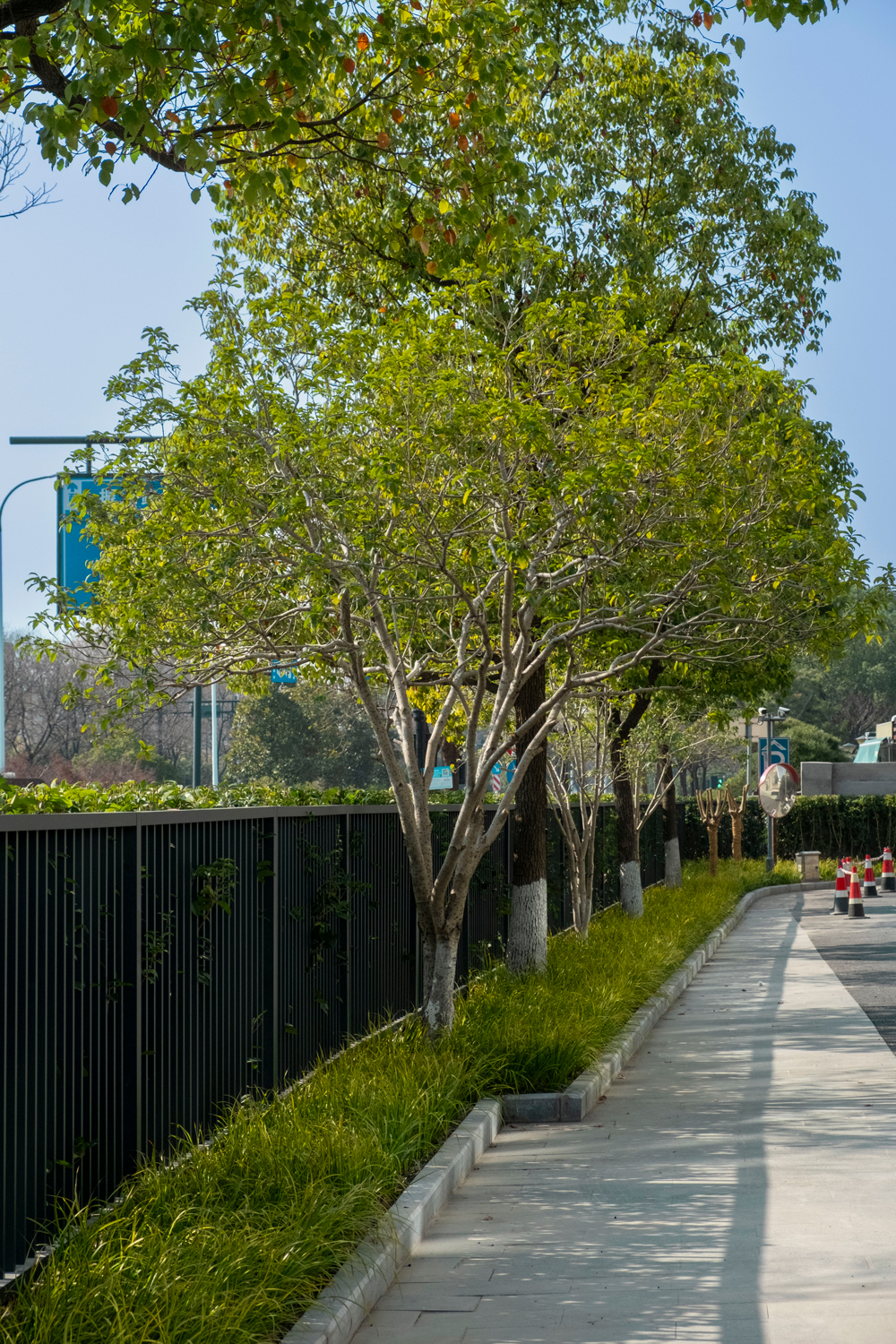 17366608366042719PmF.jpg ÂÌֲΧǽ.jpg